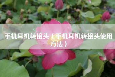 手机耳机转接头（手机耳机转接头使用方法）