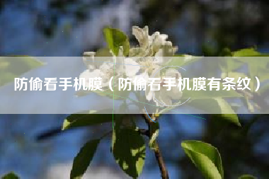 防偷看手机膜（防偷看手机膜有条纹）