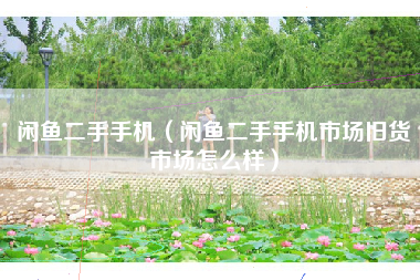闲鱼二手手机（闲鱼二手手机市场旧货市场怎么样）