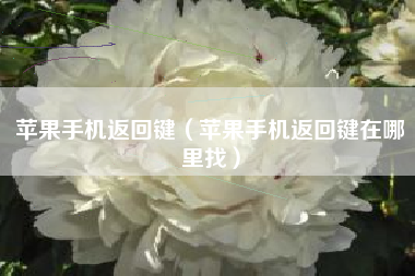 苹果手机返回键（苹果手机返回键在哪里找）