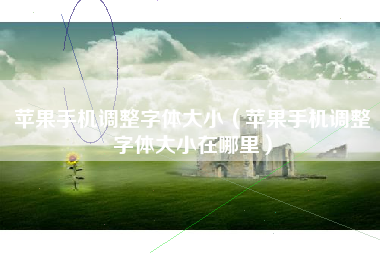 苹果手机调整字体大小（苹果手机调整字体大小在哪里）