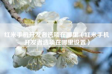 红米手机开发者选项在哪里（红米手机开发者选项在哪里设置）