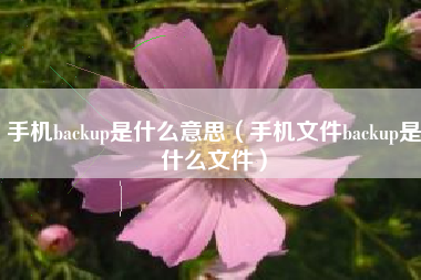 手机backup是什么意思（手机文件backup是什么文件）