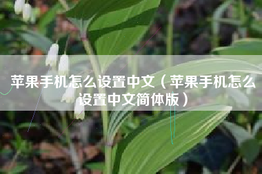 苹果手机怎么设置中文（苹果手机怎么设置中文简体版）