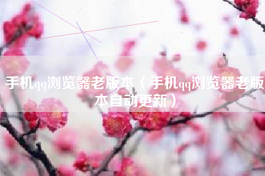 手机qq浏览器老版本（手机qq浏览器老版本自动更新）