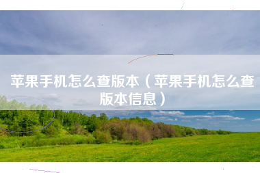 苹果手机怎么查版本（苹果手机怎么查版本信息）
