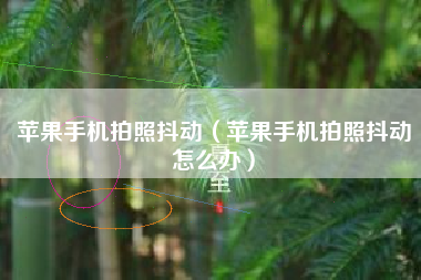 苹果手机拍照抖动（苹果手机拍照抖动怎么办）