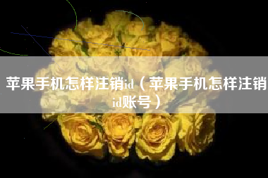 苹果手机怎样注销id（苹果手机怎样注销id账号）
