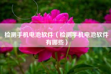 检测手机电池软件（检测手机电池软件有哪些）