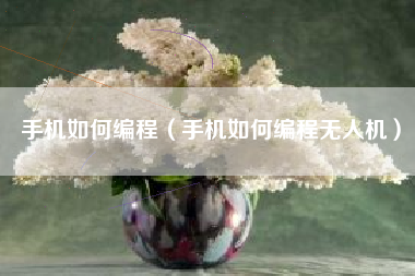 手机如何编程（手机如何编程无人机）