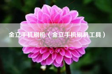 金立手机刷机（金立手机刷机工具）