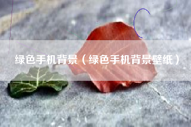 绿色手机背景（绿色手机背景壁纸）