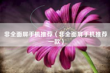非全面屏手机推荐（非全面屏手机推荐一款）