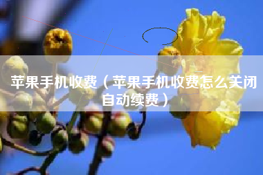 苹果手机收费（苹果手机收费怎么关闭自动续费）
