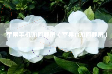 苹果手机如何截屏（苹果13如何截屏）