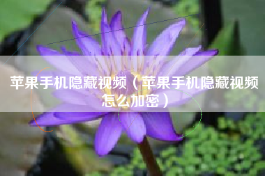 苹果手机隐藏视频（苹果手机隐藏视频怎么加密）