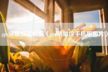 gps测量仪手机版（gps测量仪手机版图片）