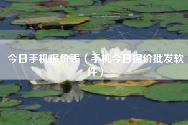 今日手机报价表（手机今日报价批发软件）
