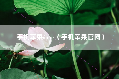 手机苹果6plus（手机苹果官网）