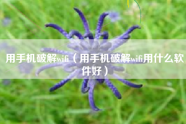 用手机破解wifi（用手机破解wifi用什么软件好）
