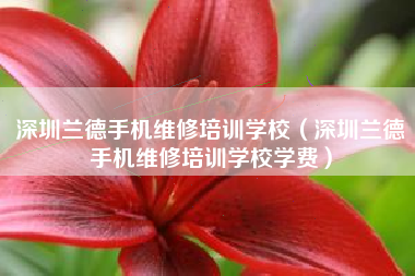 深圳兰德手机维修培训学校（深圳兰德手机维修培训学校学费）