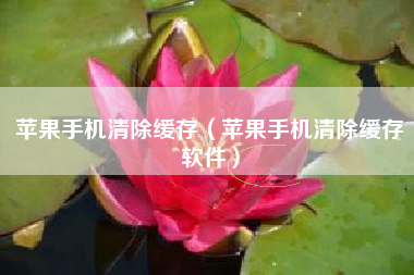 苹果手机清除缓存（苹果手机清除缓存软件）