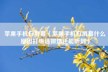 苹果手机白屏幕（苹果手机白屏幕什么原因打电话微信还能听到）