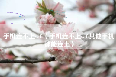 手机连不上wifi（手机连不上wifi其他手机都能连上）