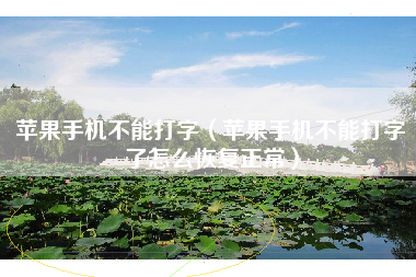 苹果手机不能打字（苹果手机不能打字了怎么恢复正常）