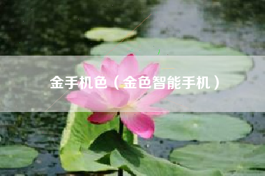 金手机色（金色智能手机）