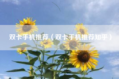 双卡手机推荐（双卡手机推荐知乎）