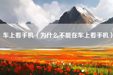 车上看手机（为什么不能在车上看手机）