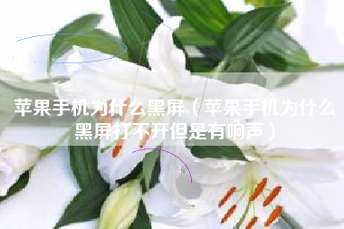 苹果手机为什么黑屏（苹果手机为什么黑屏打不开但是有响声）
