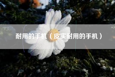 耐用的手机（皮实耐用的手机）