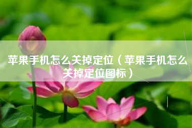 苹果手机怎么关掉定位（苹果手机怎么关掉定位图标）