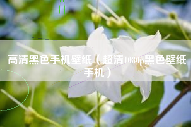 高清黑色手机壁纸（超清1080p黑色壁纸手机）