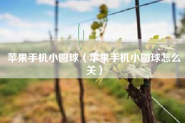 苹果手机小圆球（苹果手机小圆球怎么关）