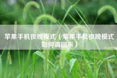苹果手机夜晚模式（苹果手机夜晚模式如何调回来）
