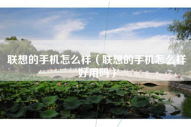 联想的手机怎么样（联想的手机怎么样好用吗）