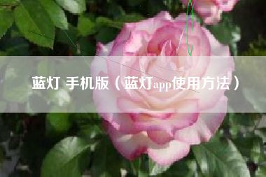 蓝灯 手机版（蓝灯app使用方法）