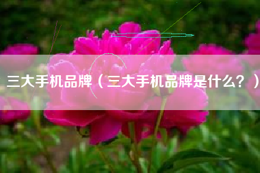 三大手机品牌（三大手机品牌是什么？）