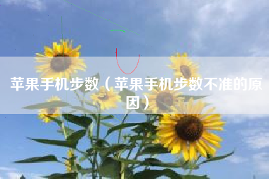 苹果手机步数（苹果手机步数不准的原因）