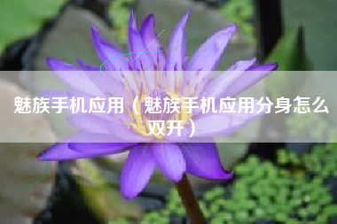 魅族手机应用（魅族手机应用分身怎么双开）