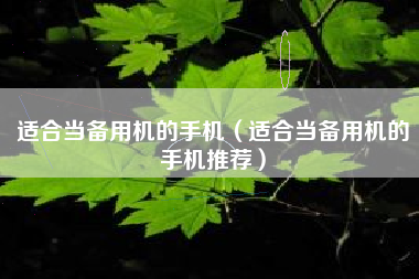 适合当备用机的手机（适合当备用机的手机推荐）