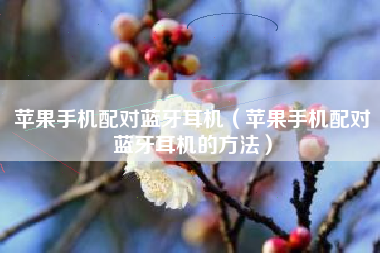 苹果手机配对蓝牙耳机（苹果手机配对蓝牙耳机的方法）