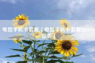 电信手机卡套餐（电信手机卡套餐2024一览表）