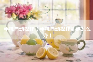 手机自动操作（手机自动操作乱点怎么办）