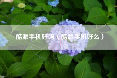 酷派手机好吗（酷派手机好么）