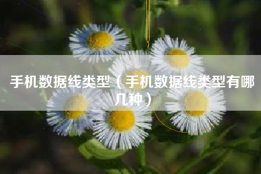 手机数据线类型（手机数据线类型有哪几种）