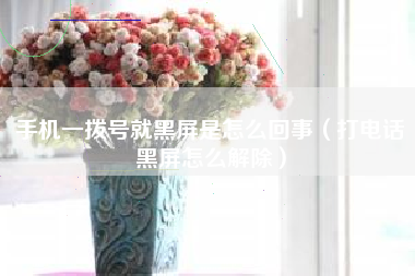 手机一拨号就黑屏是怎么回事（打电话黑屏怎么解除）
